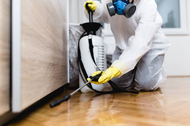 Best Pest Removal Services  in Goulding, FL