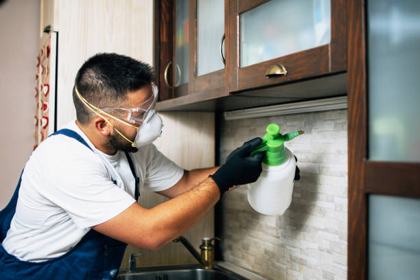 Best Commercial Pest Control Services  in Goulding, FL