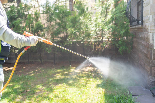 Best Affordable Pest Control Services  in Goulding, FL