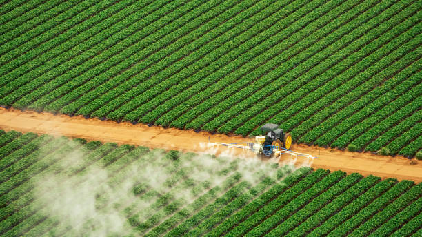 Best Pest Removal Services  in Goulding, FL