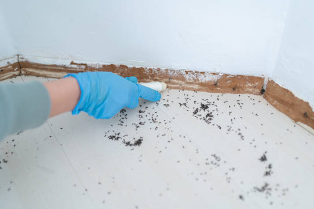 Best Residential Pest Control  in Goulding, FL