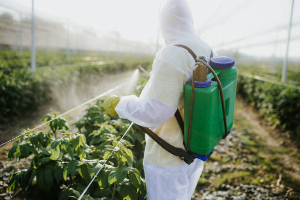 Best Affordable Pest Control Services  in Goulding, FL